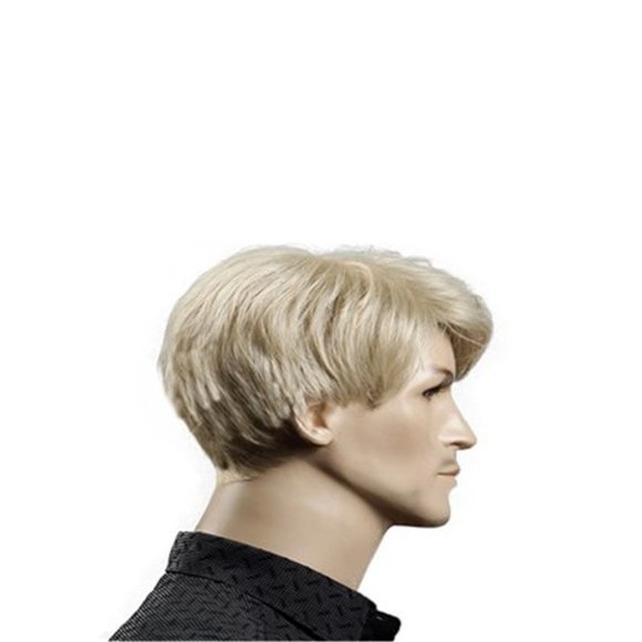 8" Short Straight Men's Blonde Color Wig Ken Costume Party Halloween - Picture 4 of 5